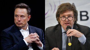 Milei y Musk intercambiaron mensajes sobre la justicia social: We need to talk, Elon