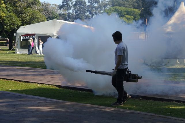 Dengue: se incrementaron los casos en Rosario y hay cambio de fase epidemiológica.