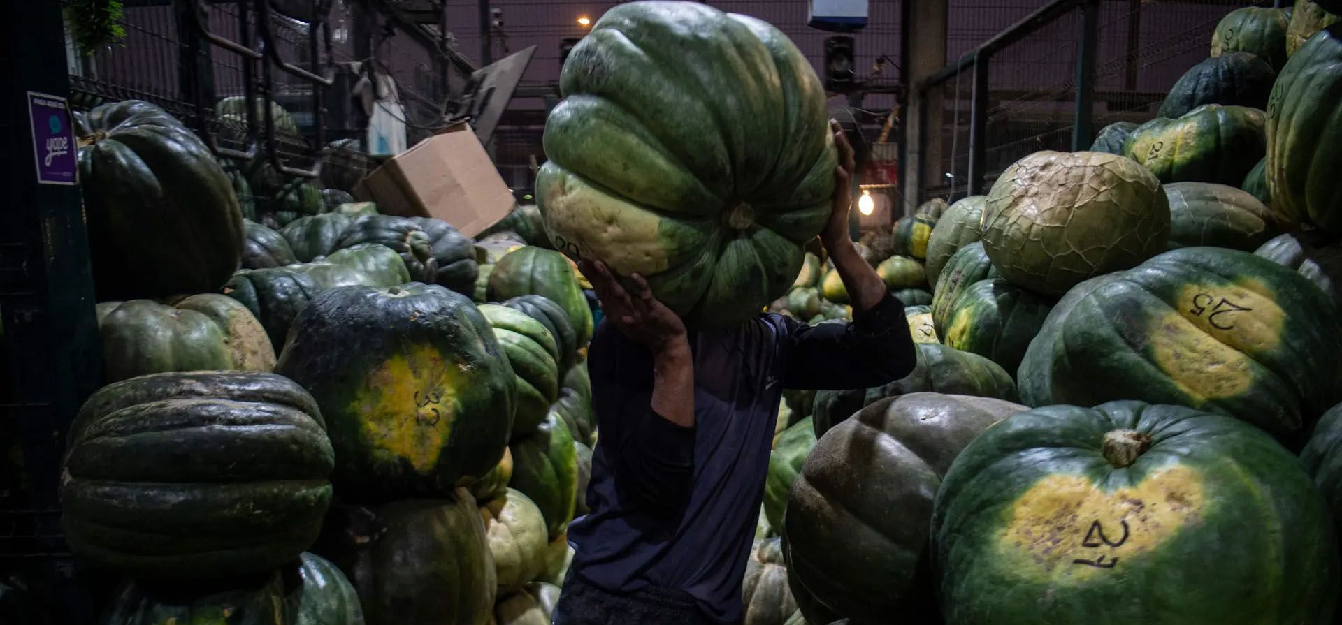 Un hombre lleva una calabaza de gran tamaño en un mercado mayorista de frutas y verduras en Lima, Perú. Fotografía: Ernesto Benavides/AFP/Getty Images
