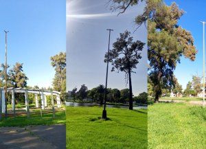 Golpe al plan de renovación del alumbrado público: robaron 68 luminarias led instaladas en el Parque Juan de Garay