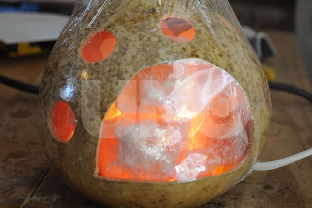 Un emprendimiento con luz propia y buena energía