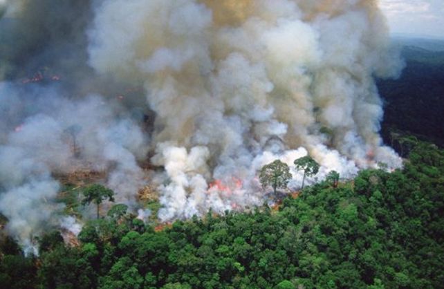 El humo por los incendios del Amazonas llegará a la provincia de Santa Fe