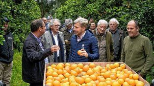 Frigerio destacó el potencial citrícola de Entre Ríos y apuntó a abrir el mercado de Estados Unidos