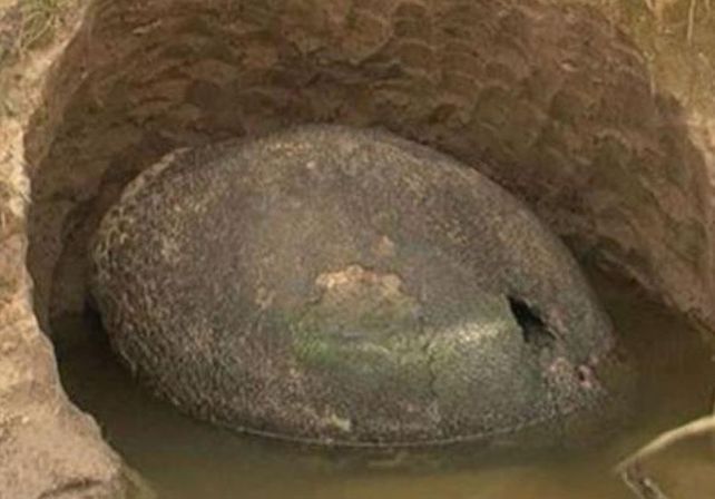 Un caparazón gigante