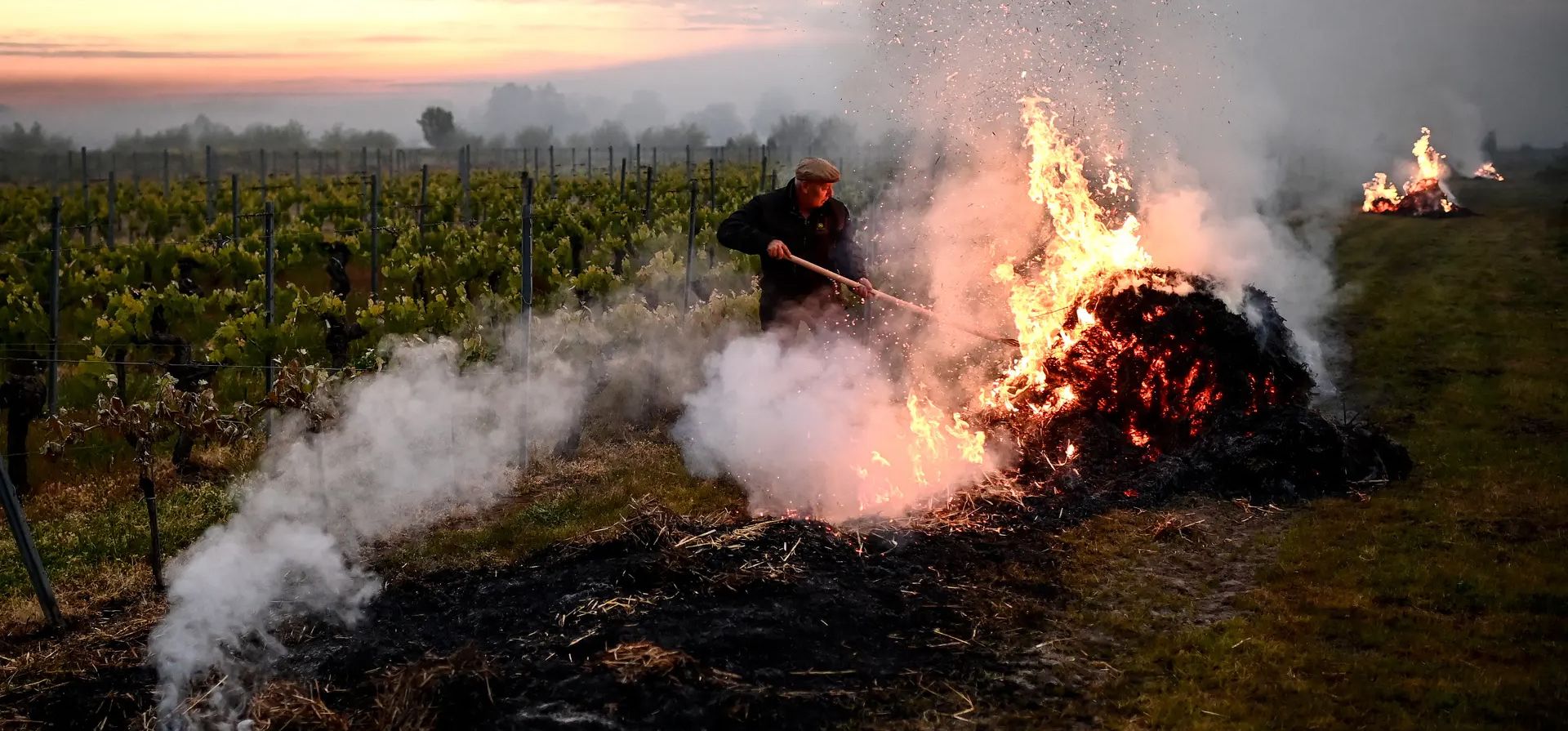 Un trabajador esparce paja ardiente en el suelo de un viñedo para crear una cortina de humo que mantenga las temperaturas por encima de los 0ºC y evite que las vides se congelen debido a una ola de frío que azota el suroeste de Francia,. Saint-Emilion, Francia. Fotografía: Christophe Archambault/AFP/Getty Images Un trabajador esparce paja ardiente en el suelo de un viñedo para crear una cortina de humo que mantenga las temperaturas por encima de los 0ºC y evite que las vides se congelen debido a una ola de frío que azota el suroeste de Francia,. Saint-Emilion, Francia. Fotografía: Christophe Archambault/AFP/Getty Images