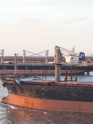 El sector agroexportador liquidó divisas por u$s 1.500 millones en enero