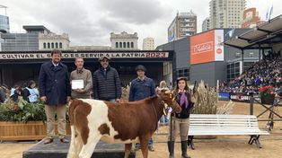 Yoli, la vaquillona ganadora y el equipo de trabajo de la Facultad de Agrarias de la Universidad de Lomas de Zamora.