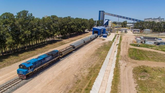 Un consorcio de cerealeras competirá por la concesión del Belgrano Cargas.
