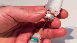 Streptococcus pyogenes, enfermedad sin vacuna