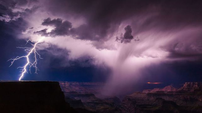 Las mejores fotos de la naturaleza de 2017 premiadas por National Geographic