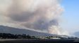 Los incendios en Chile ya dejaron 22 muertos y 554 heridos
