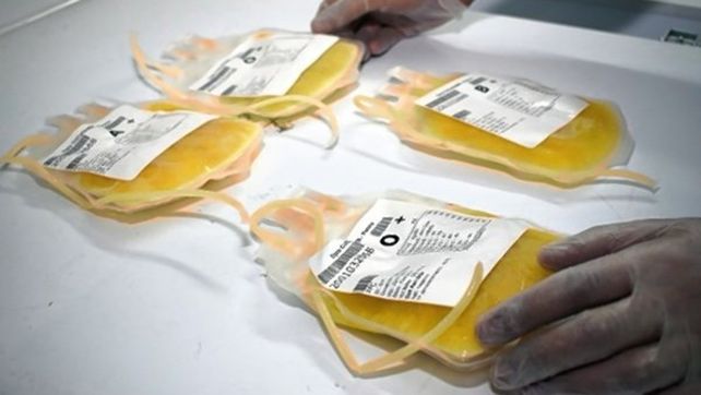 Entró en vigencia la Ley donación de plasma sanguíneo&nbsp;