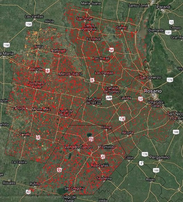 Se sembró maíz casi como el ciclo anterior