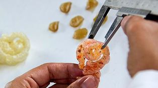 La picada que saca el hambre, el invento argentino que se viene con el cuero de chancho