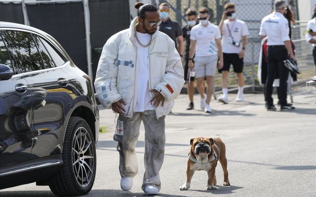 El piloto de Mercedes Lewis Hamilton de Gran Bretaña es escoltado por su perro Roscoe cuando llega al hipódromo de Monza, Italia, el jueves 9 de septiembre de 2021. El Gran Premio de Fórmula Uno de Italia se llevará a cabo el domingo.