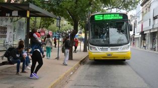Los colectivos deberán incorporar wifi gratuito
