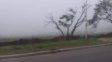 SMN: inicia semana con niebla y neblinas matinales