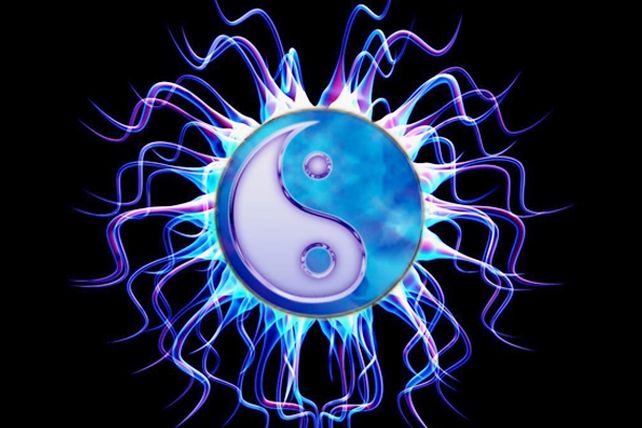 ¿Tú casa es Yin o Yang?, entrá acá y descubrílo