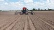Arrancaron los ensayos de maíz y soja  en el PT Farm