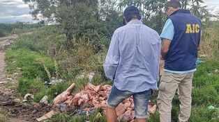 Detuvieron a una banda de 15 delincuentes por robos en San Javier