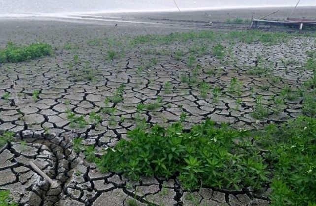 La sequíase mantiene en zonas productivas como el sudeste de Santa Fe y