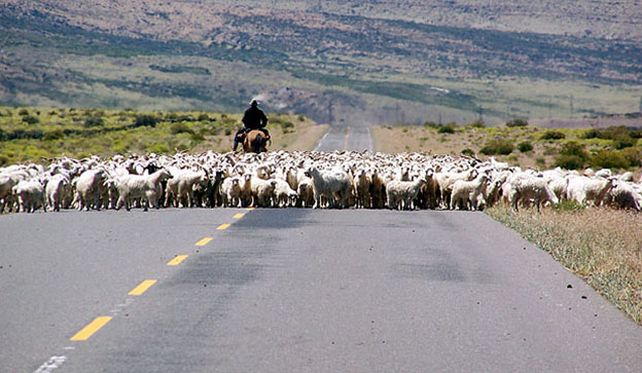 Ruta 40: una invitación a descubrir el país de sur a norte