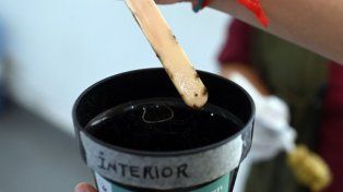 Prevención del dengue en Santa Fe: el municipio detectó los primeros huevos de Aedes aegypti en ovitrampas en Bº Chalet