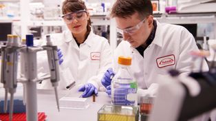 Dengue. El laboratorio Takeda creó la primera vacuna contra el virus que transmite el Aedes aegypti&nbsp;