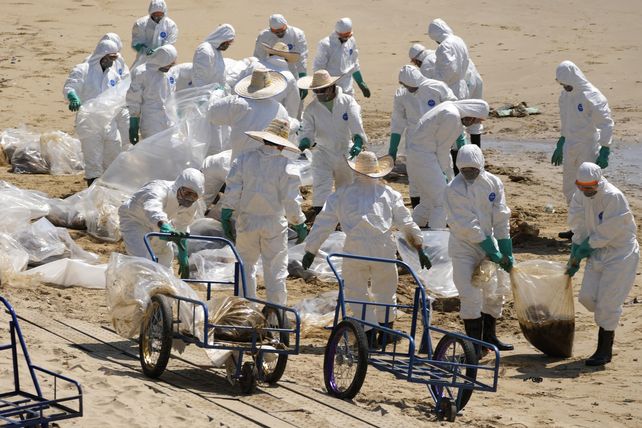 Aves y especies marítimas mueren a raíz de la contaminación que provoca el derrame de petróleo frente a las costas.