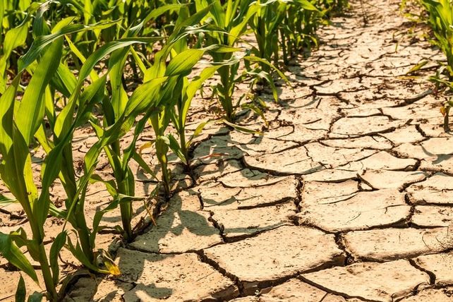 Ambiente y Agricultura: es la hora de compatibilizar y exponenciar