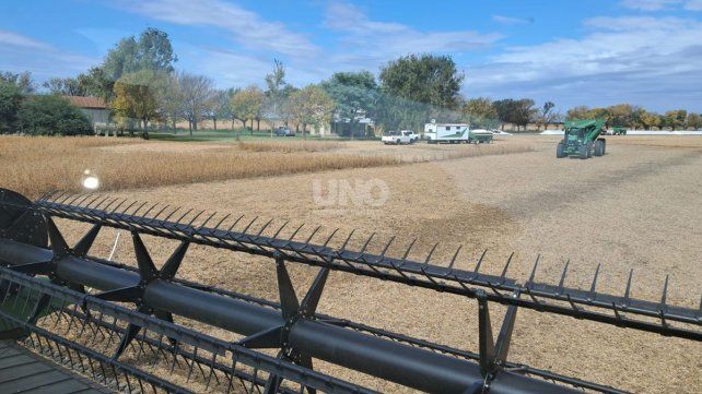 El gobierno volvió a subir las retenciones a la soja El gobierno volvió a subir las retenciones a la soja