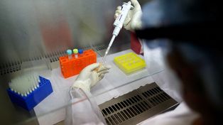 Coronavirus: confirman 29 casos en La Capital