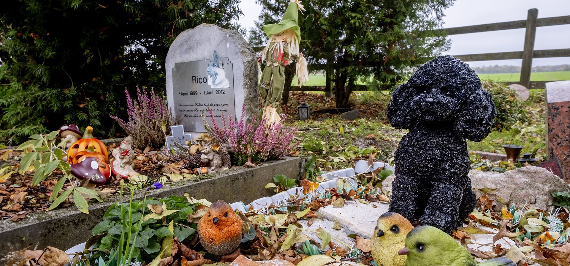 Las tumbas de dos perros en un cementerio para animales en Bad Homburg, Alemania, el viernes 8 de noviembre de 2024. (Foto AP/Michael Probst) Las tumbas de dos perros en un cementerio para animales en Bad Homburg, Alemania, el viernes 8 de noviembre de 2024. (Foto AP/Michael Probst)
