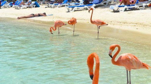 El Caribe y Brasil son los destinos más elegidos por los paranaenses que piensan viajar este verano