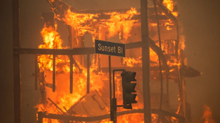 Históricos incendios en Los Ángeles: un llamado a la acción frente al cambio climático