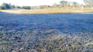 Los campos entrerrianos amanecieron helados