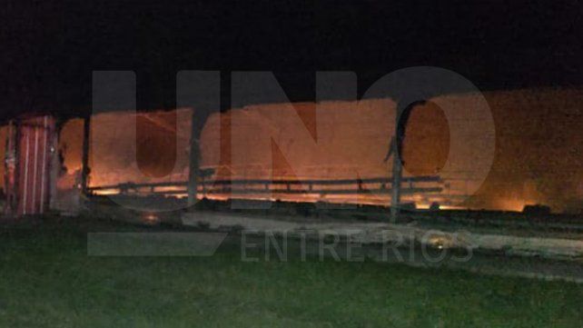 Santa Elena: un incendio arrasó con 12 mil pollitos de una avícola