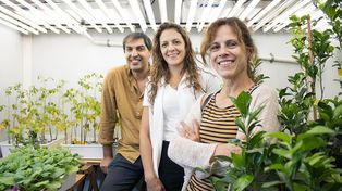 El poder del romero. Pavel Kerchev, Lucila García y Maria Rosa Marano en el IBR. Crédito: IBR/ Elizabeth Karayekov.