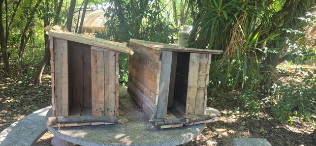 Promueven la colocación de refugios para las lechuzas campanario en el centro de Rosario