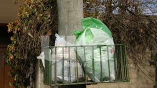 Servicios municipales para la Navidad