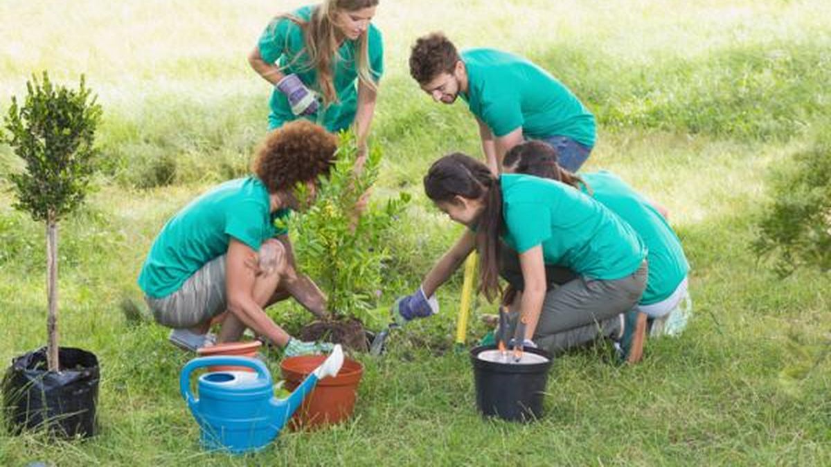 Roldán impulsa jornadas de forestación en distintos barrios de la ciudad