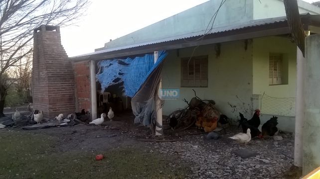 En el centro de Salud deambulan patos