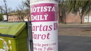 Emily empapeló la ciudad con promesas de traer a la persona amada, pero la Municipalidad la multó.&nbsp;