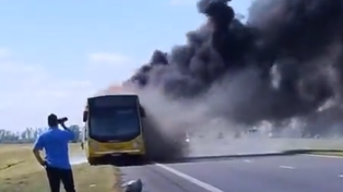 El colectivo ardió por completo.