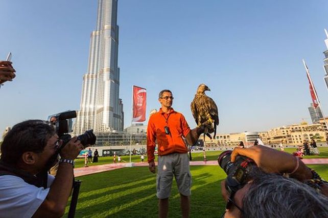 Una cámara de video captó el récord mundial de altura logrado por un águila imperial
