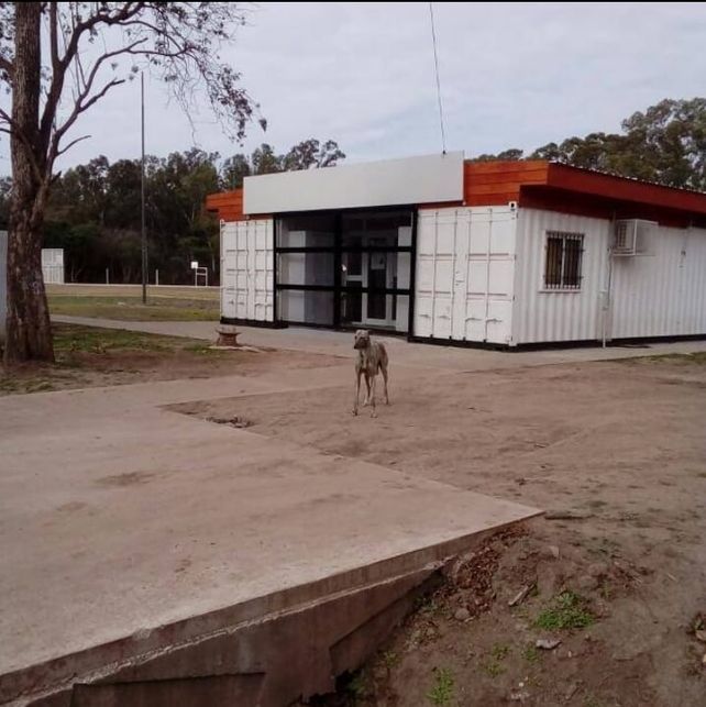 Temor en el personal de salud. Tras los disparos