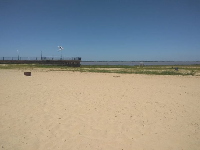 Se ve c&eacute;sped sobre la arena de la playa del Espig&oacute;n II.
