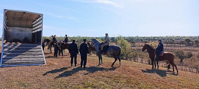 Incendios en islas: detenidos serán indagados próximamente