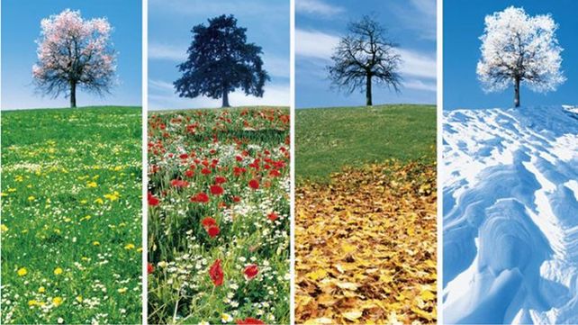 La estación del año en la que nacés incide en tu personalidad