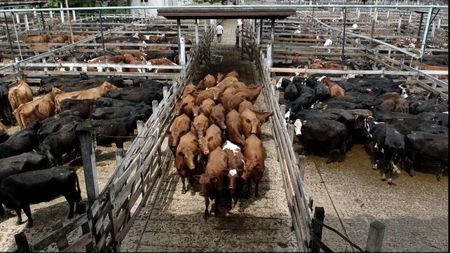 CRA y Carbap acusan de medidas insensatas e intimidatorias las versiones de posibles llamados para orientar los precios de ventas.